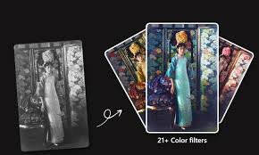 The Reason to use the Colorize Tool of Digitizing AI.