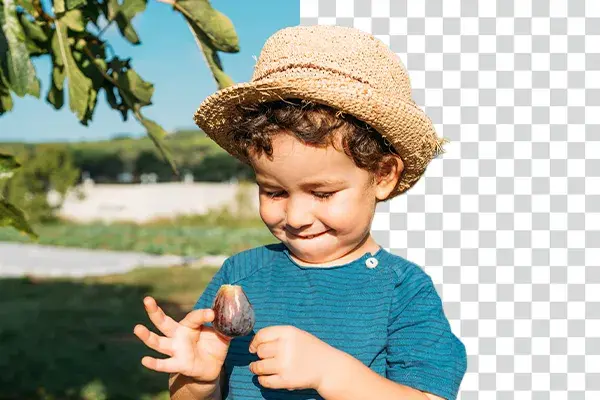 Why Choose Digitizing AI's Free Background Remover