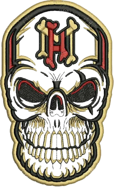 3D puff embroidery digitizing samples